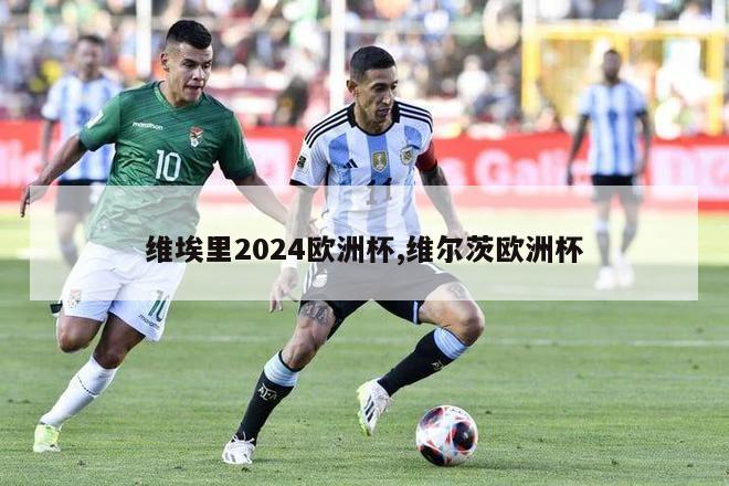 维埃里2024欧洲杯,维尔茨欧洲杯