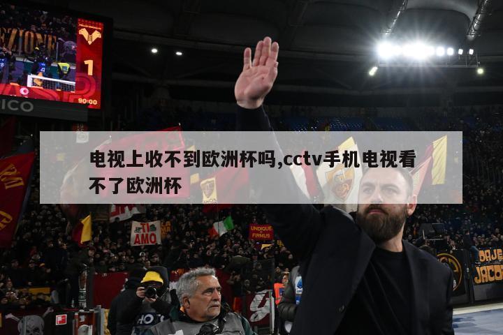 电视上收不到欧洲杯吗,cctv手机电视看不了欧洲杯