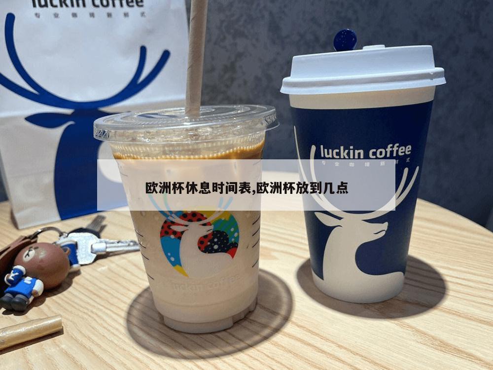 欧洲杯休息时间表,欧洲杯放到几点