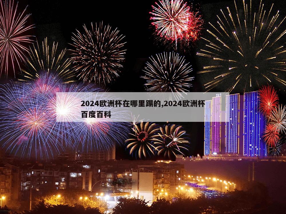 2024欧洲杯在哪里踢的,2024欧洲杯百度百科