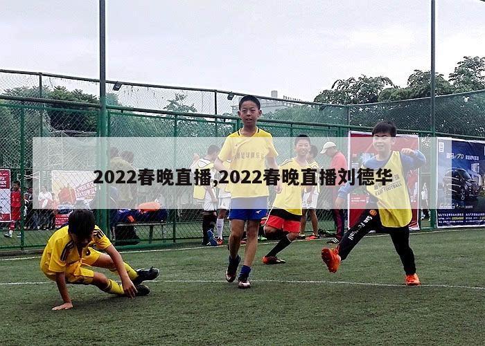 2022春晚直播,2022春晚直播刘德华