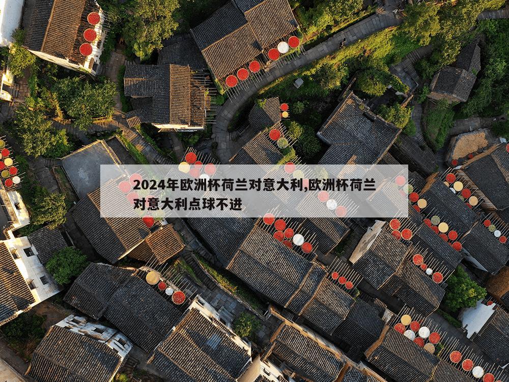 2024年欧洲杯荷兰对意大利,欧洲杯荷兰对意大利点球不进