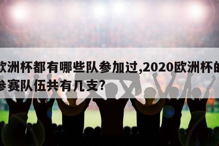 欧洲杯都有哪些队参加过,2020欧洲杯的参赛队伍共有几支?