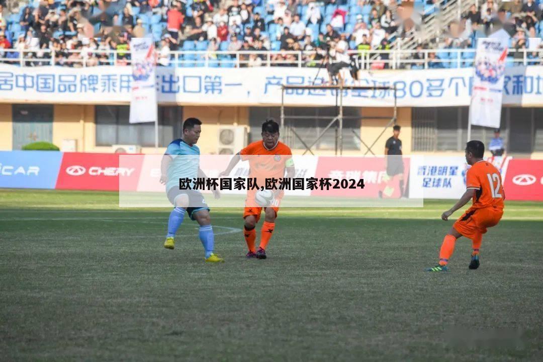 欧洲杯国家队,欧洲国家杯2024