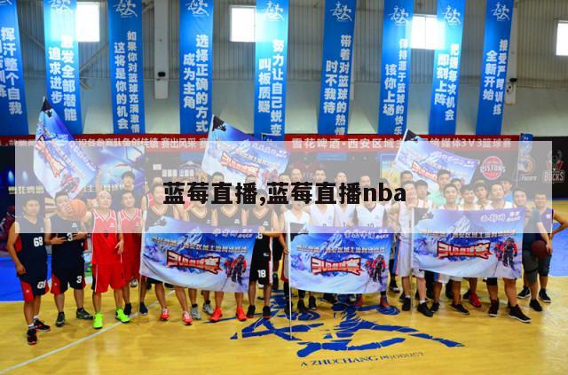 蓝莓直播,蓝莓直播nba