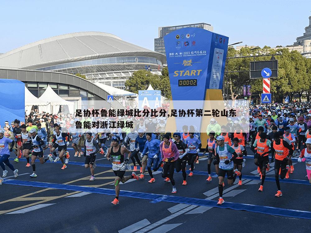 足协杯鲁能绿城比分比分,足协杯第二轮山东鲁能对浙江绿城